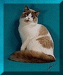 aladdin1a.gif (19548 bytes)